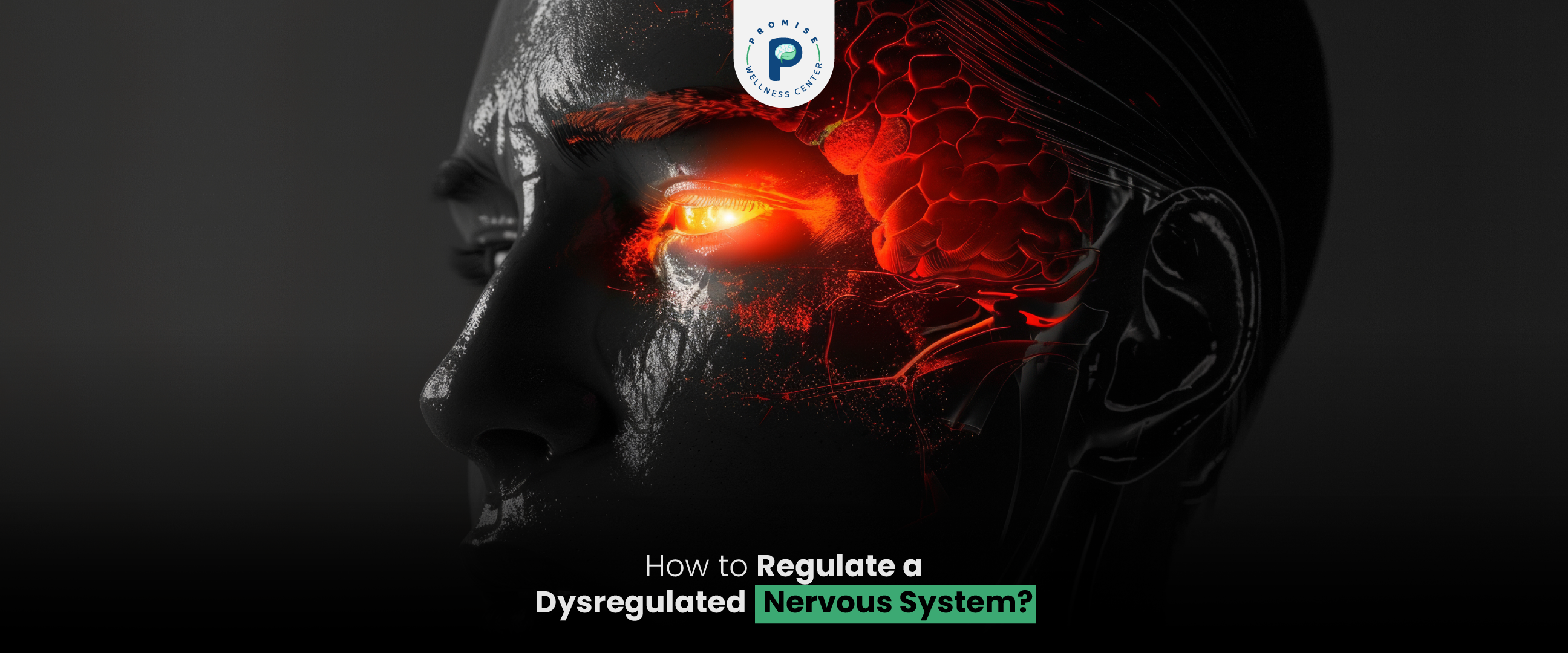 How to Regulate a Dysregulated Nervous Systemsystem